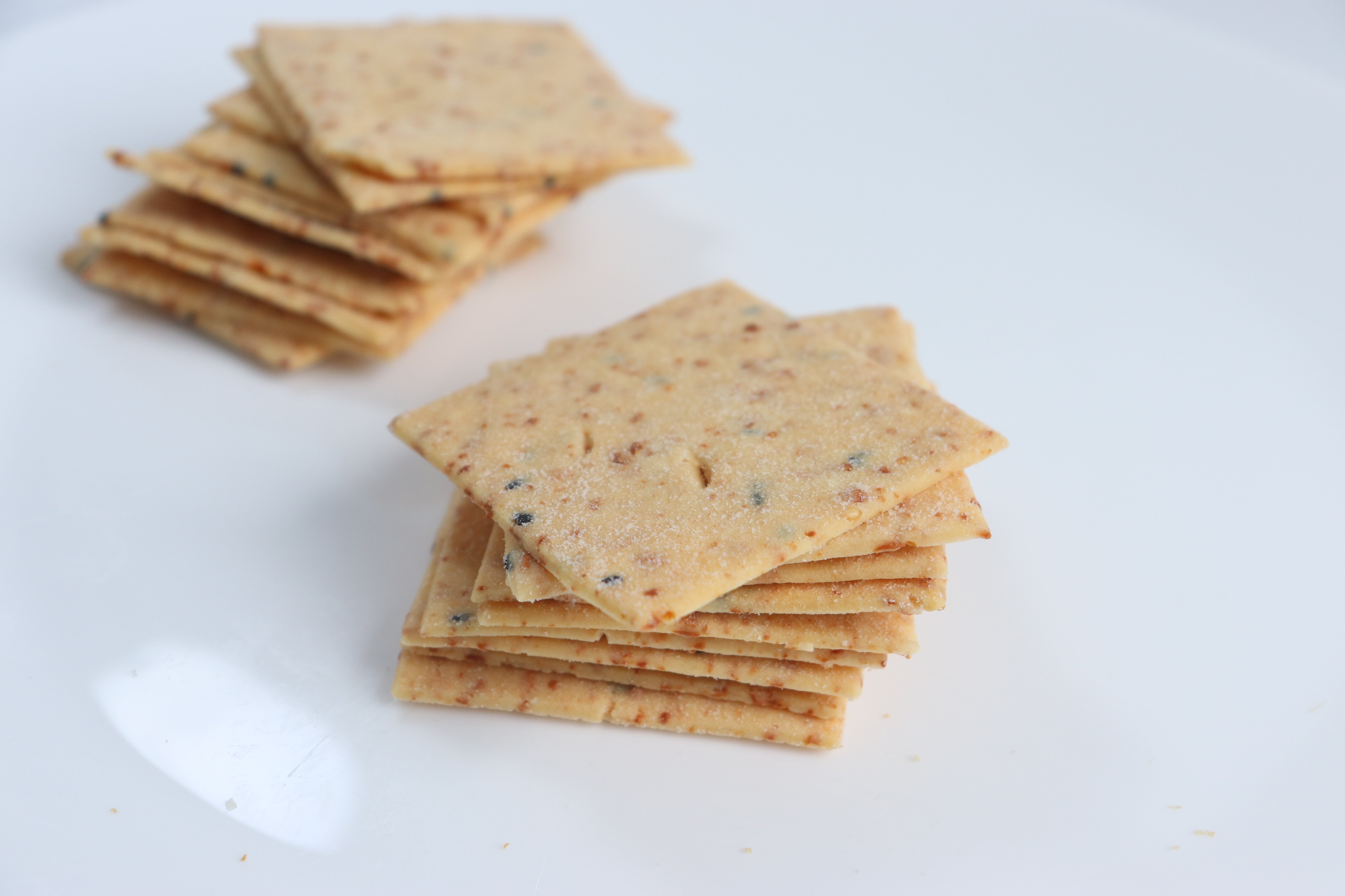 Crackers con semillas SIN GLUTEN
